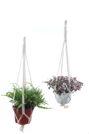 The Angelica Plant Hanger